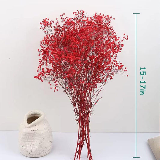 Preserved Dried Baby Breath Red color