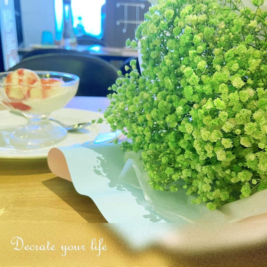 Preserved Dried Baby Breath Green color