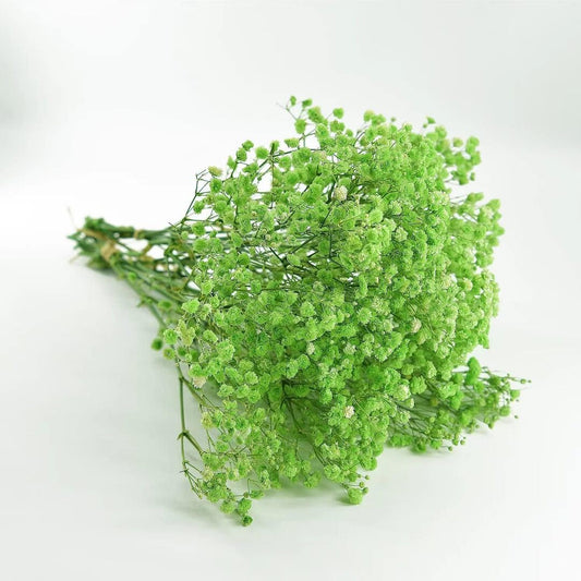 Preserved Dried Baby Breath Green color