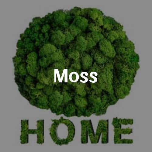 MOSS