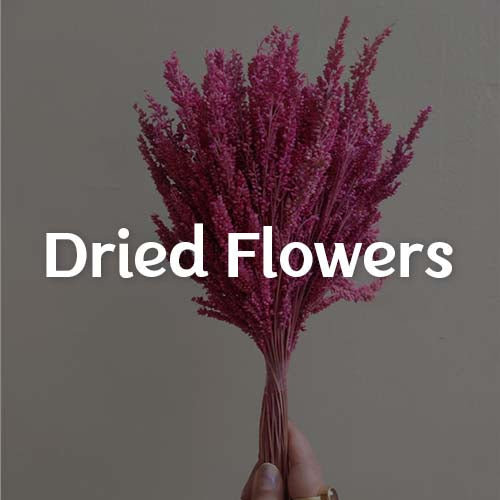 Dried flowers