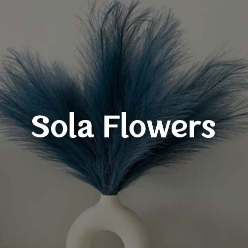 Sola flowers