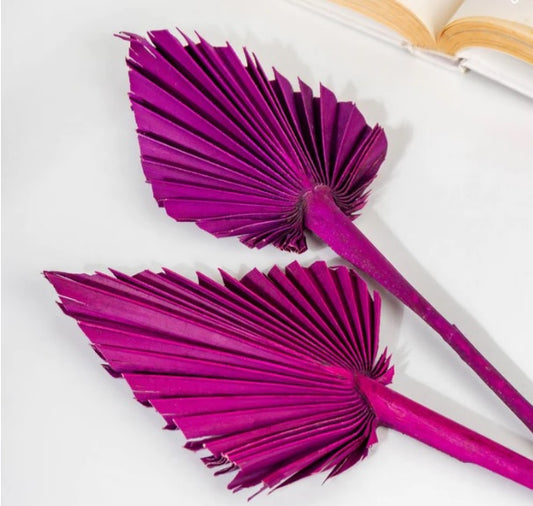 palm leaves