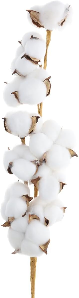 Cotton Stem, 26 1/8", Cotton Stems Decor Branches, Cotton Decor, Cotton Stems,