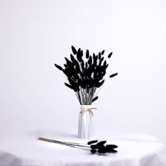 Dried Bunny tails black 30pcs pack