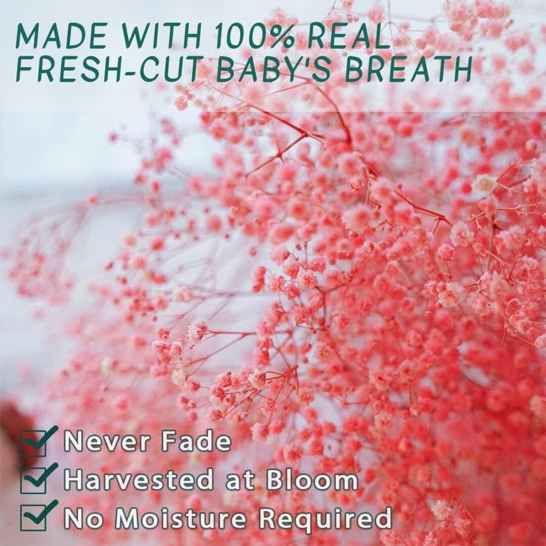 Preserved Dried Baby Breath  Red color