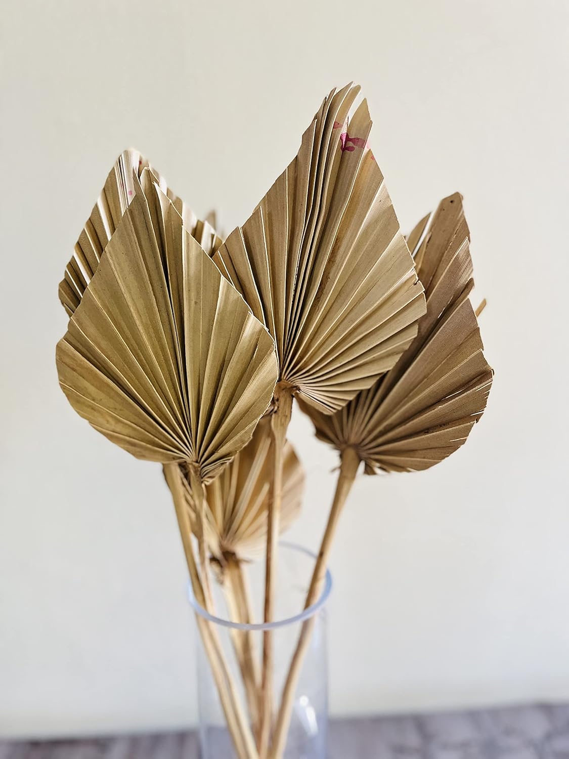 Dried natural Palm Spear 10 stems