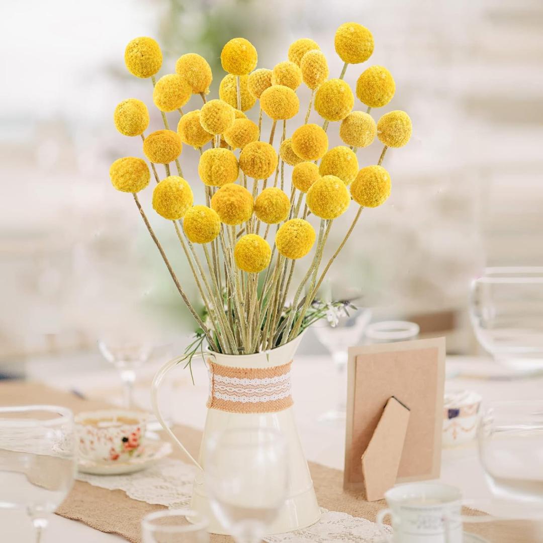 Dried Flower Billy Balls 5 stems (Yellow colour)