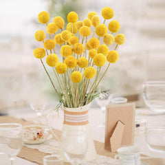 Dried Flower Billy Balls 5 stems (Yellow colour)