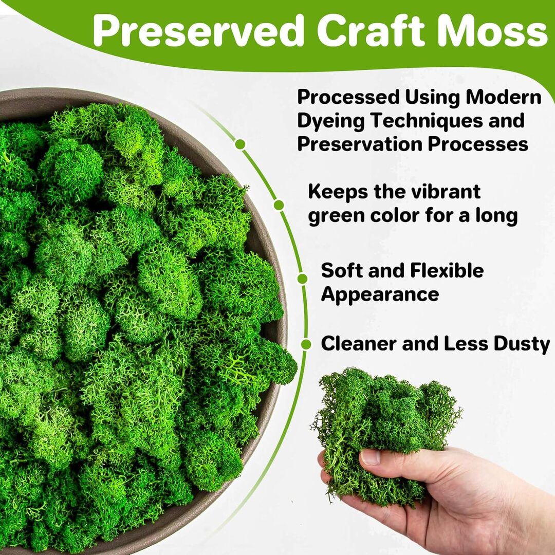 Preserved Moss for Crafts Green Reindeer Moss for Potted Plants, Craft Decorative Moss Decor for Wall Art, Dried Moss