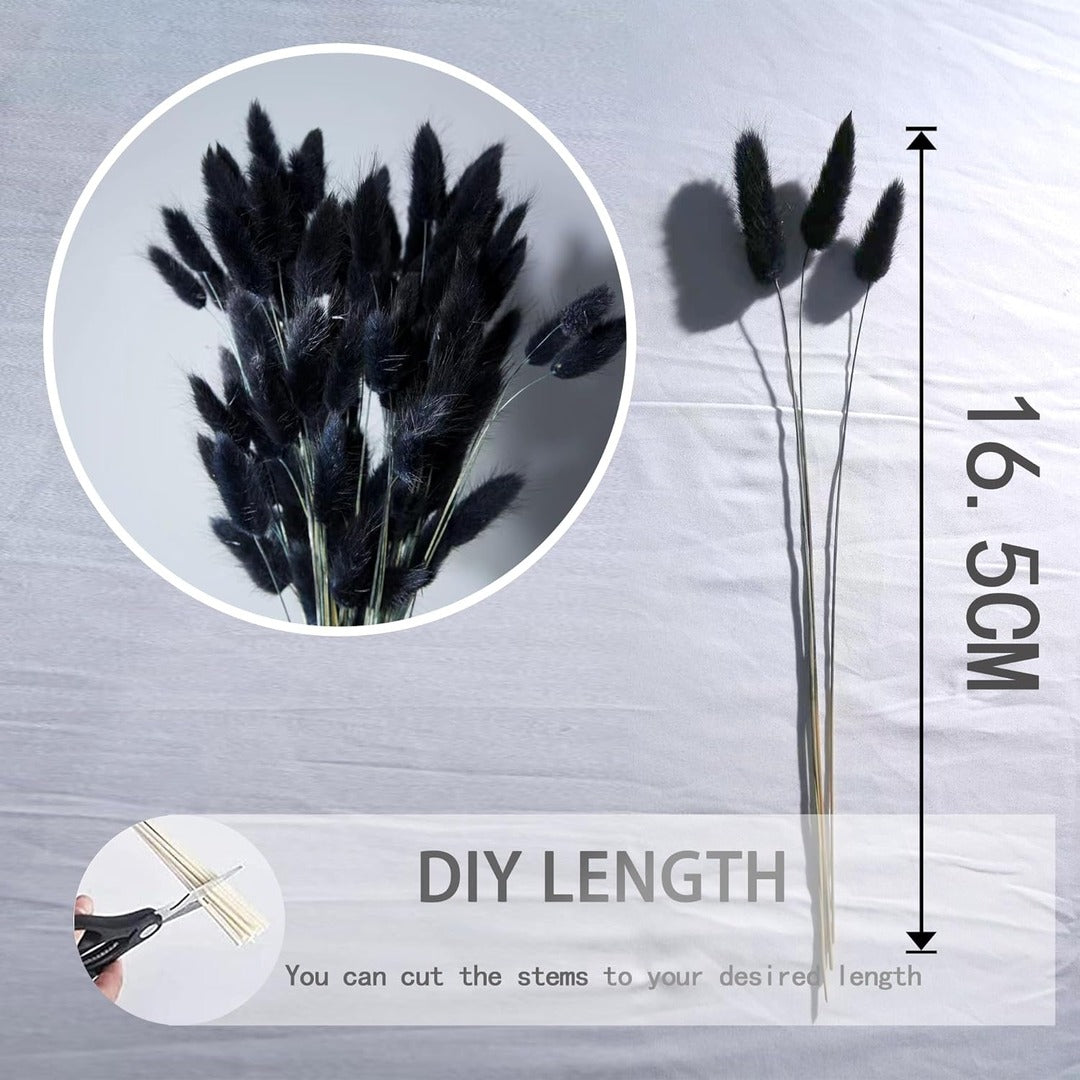 Dried Bunny tails black 30pcs pack