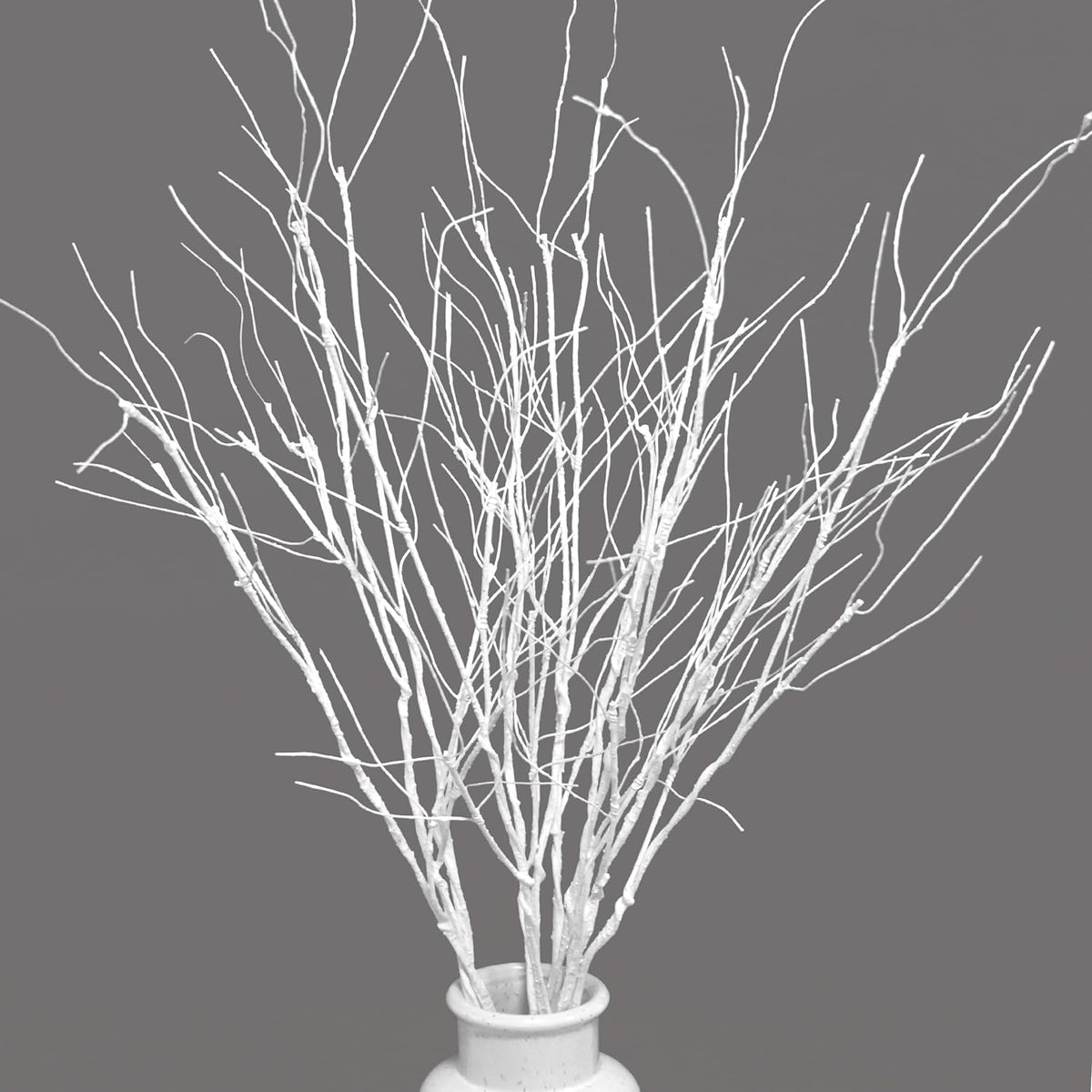 10 PCS Branches Curly Willow White color