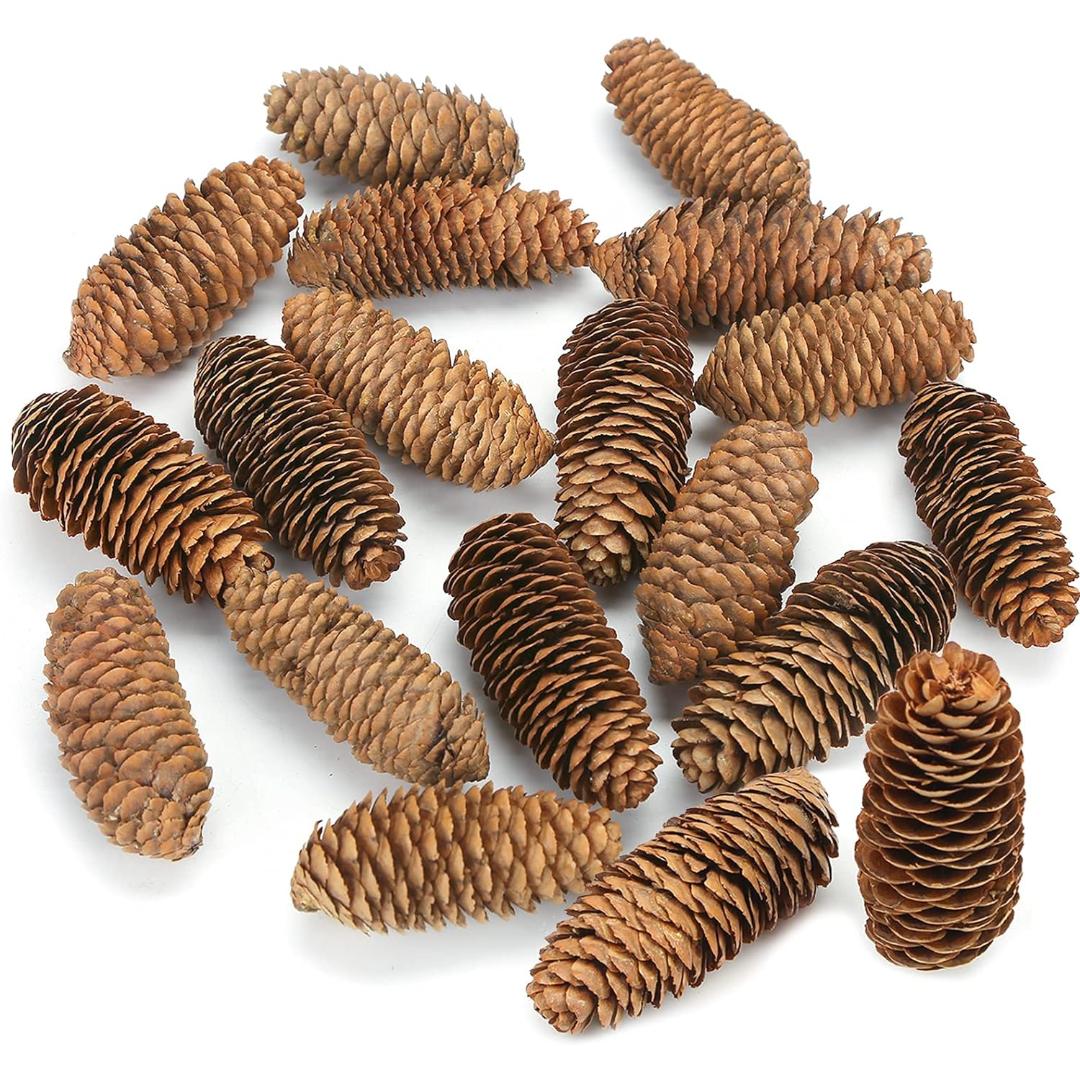 3.5-5Inch Natural Pine Cones, Big Pinecones, Christmas Natural Pinecone Ornaments (10 pieces)