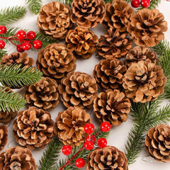 Natural Pine Cones Christmas Rustic Pine Cones Bulk Ornament 10pcs