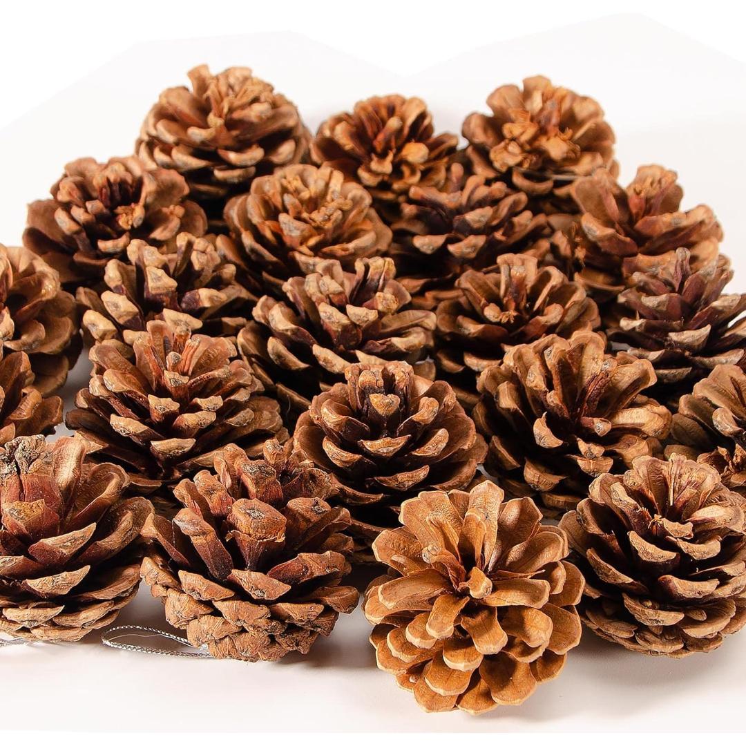 Natural Pine Cones Christmas Rustic Pine Cones Bulk Ornament 10pcs