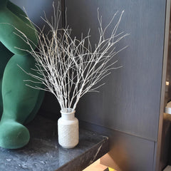 10 PCS Branches Curly Willow White color