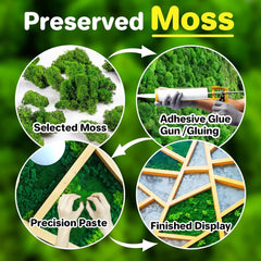 Preserved Moss for Crafts Green Reindeer Moss for Potted Plants, Craft Decorative Moss Decor for Wall Art, Dried Moss