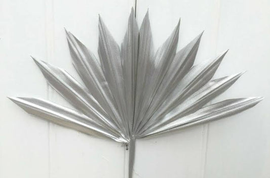 Silver Sun Palm 5 stems
