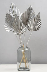 Dried silver Palm Spear 10 stems