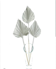 Dried silver Palm Spear 10 stems