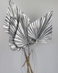 Dried silver Palm Spear 10 stems