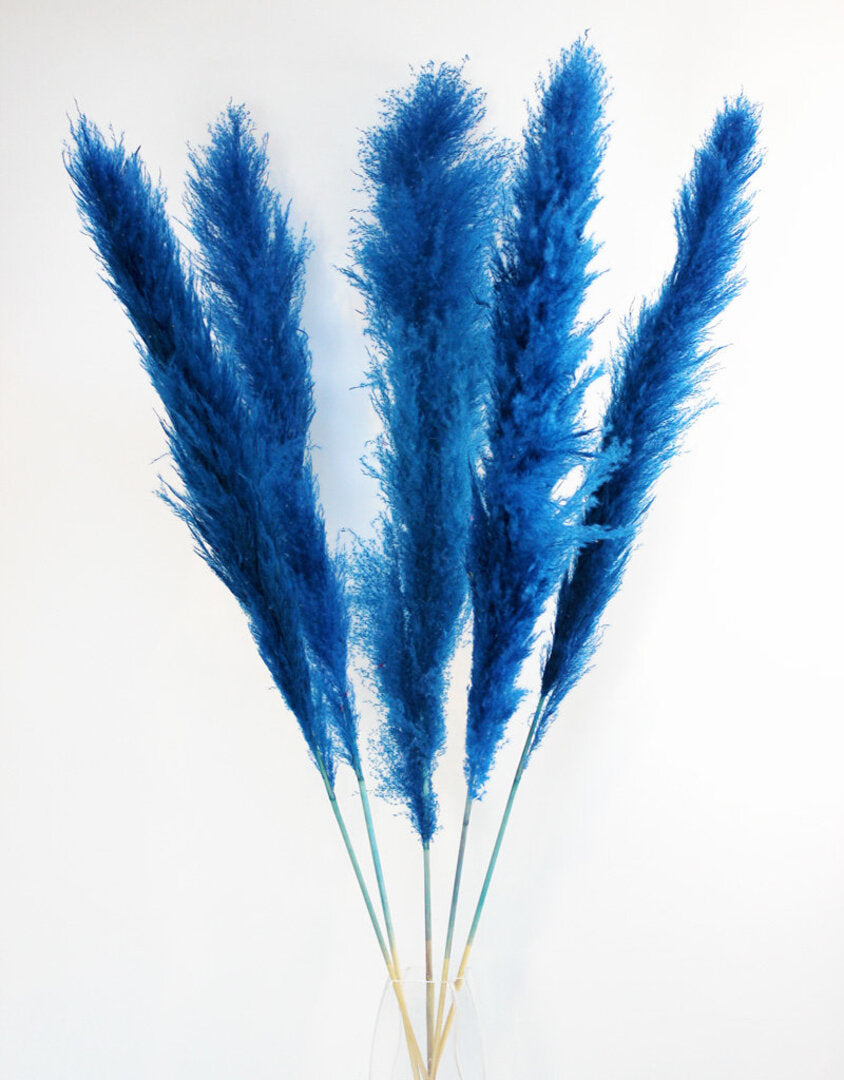 Dried Blue Pampas Set Of 10 Sticks