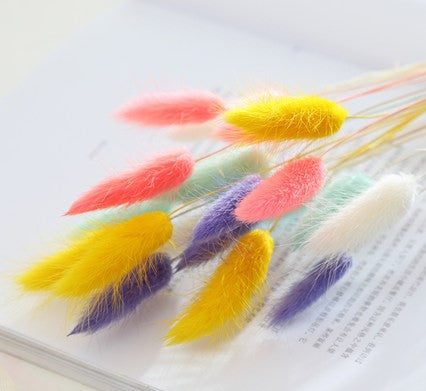 Dried Bunny tails Mix color 30pcs pack