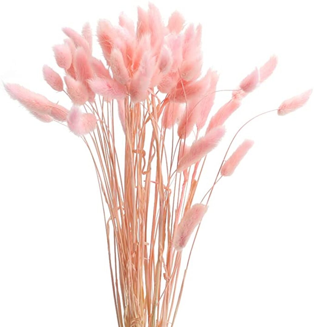 Dried Bunny tails Pink 30pcs Pack