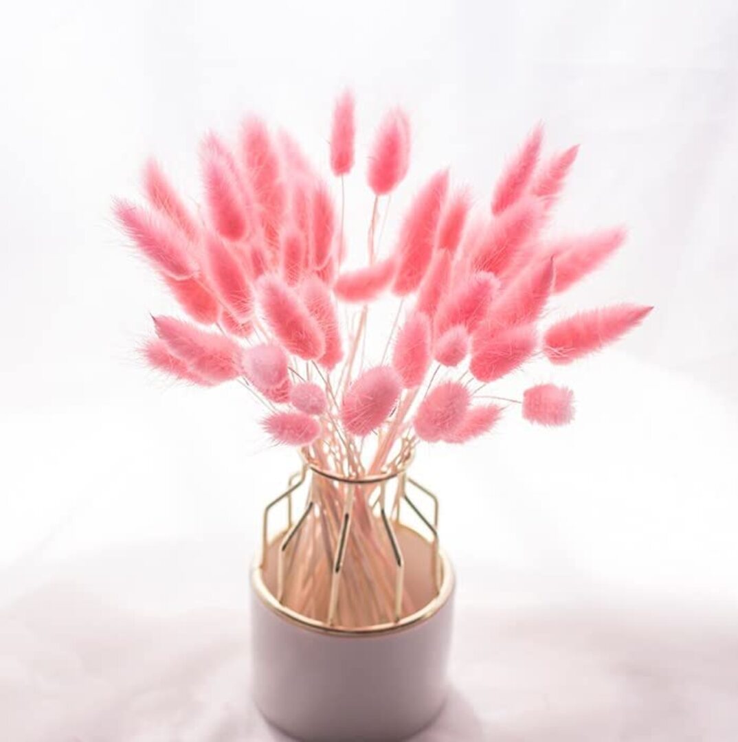 Dried Bunny tails Pink 30pcs Pack