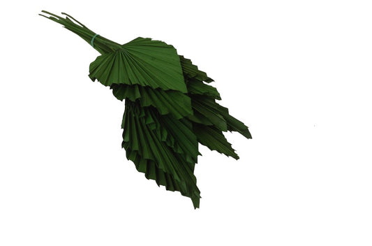 palm leaves