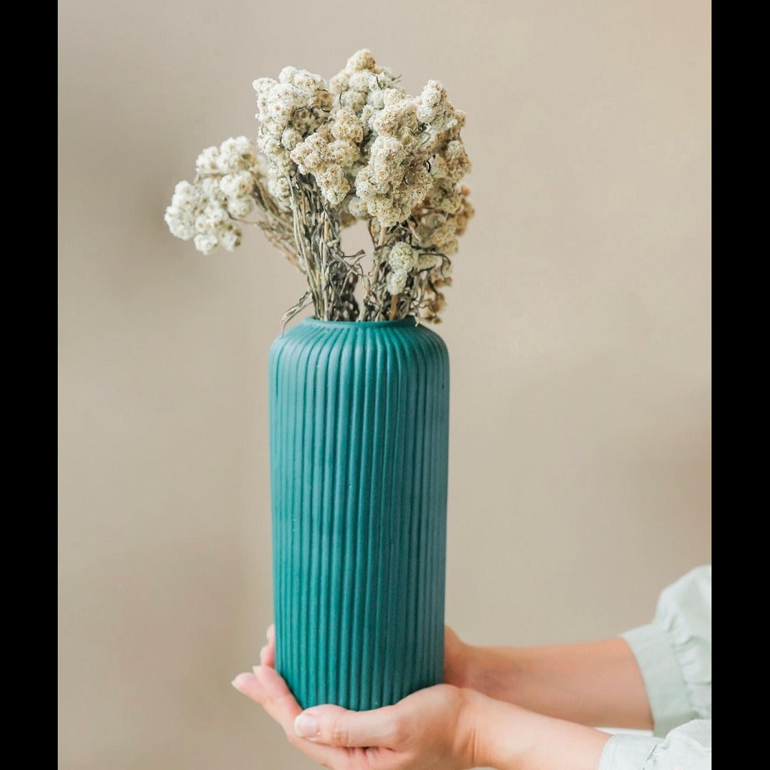 Dried Daisies Flower Bunch White color