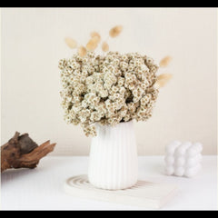 Dried Daisies Flower Bunch White color