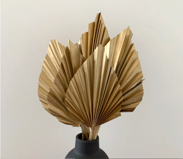 PALM SPEAR GOLDEN (SET OF 10)