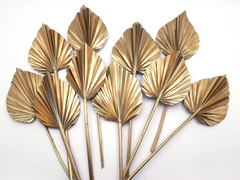 PALM SPEAR GOLDEN (SET OF 10)