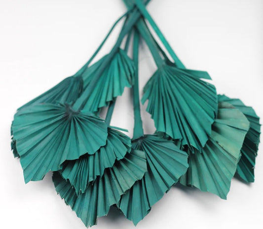 palm leaves