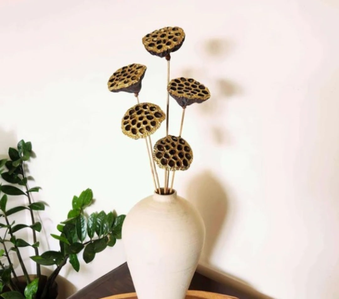 Dried Lotus Pod with stick 5 stems