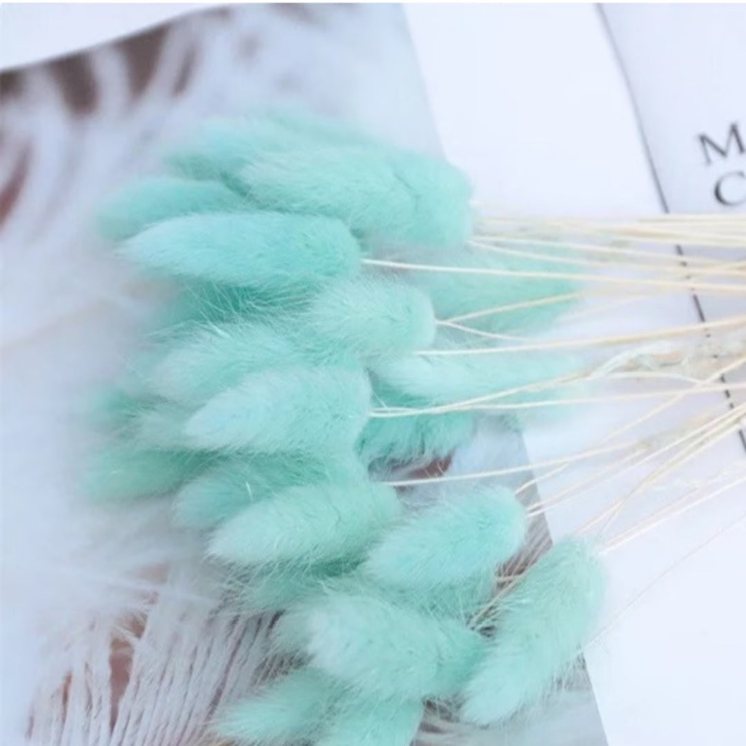 Dried Bunny tails Green 30pcs pack