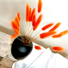 Dried Bunny tails orange 30pcs pack