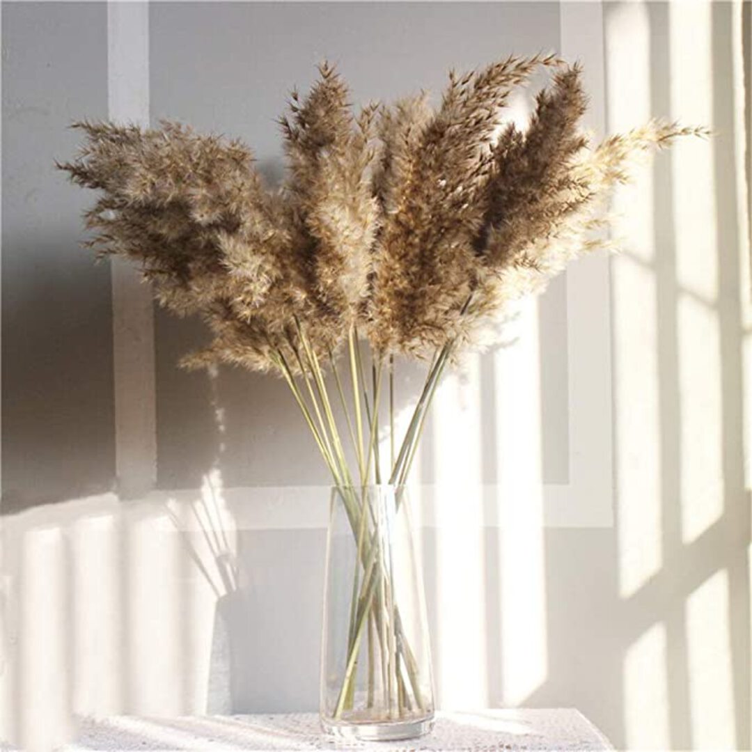 NATURAL PAMPAS SET OF 10 STICKS