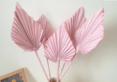 Palm Spear Pink (SET FO 10)