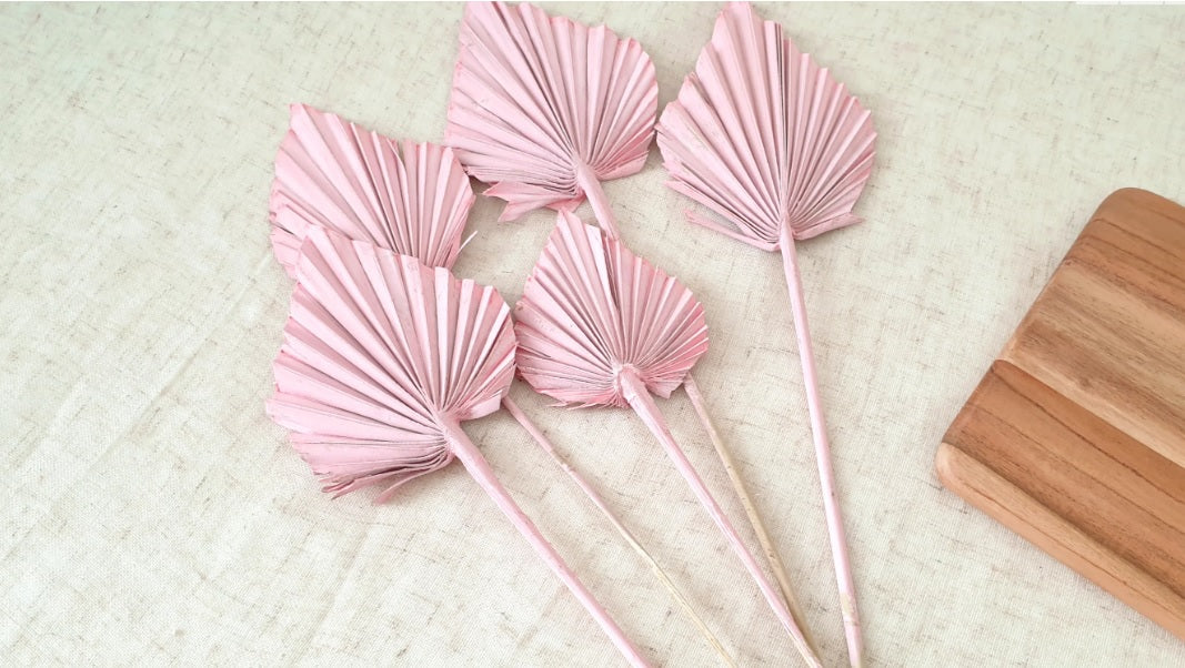 Palm Spear Pink (SET FO 10)