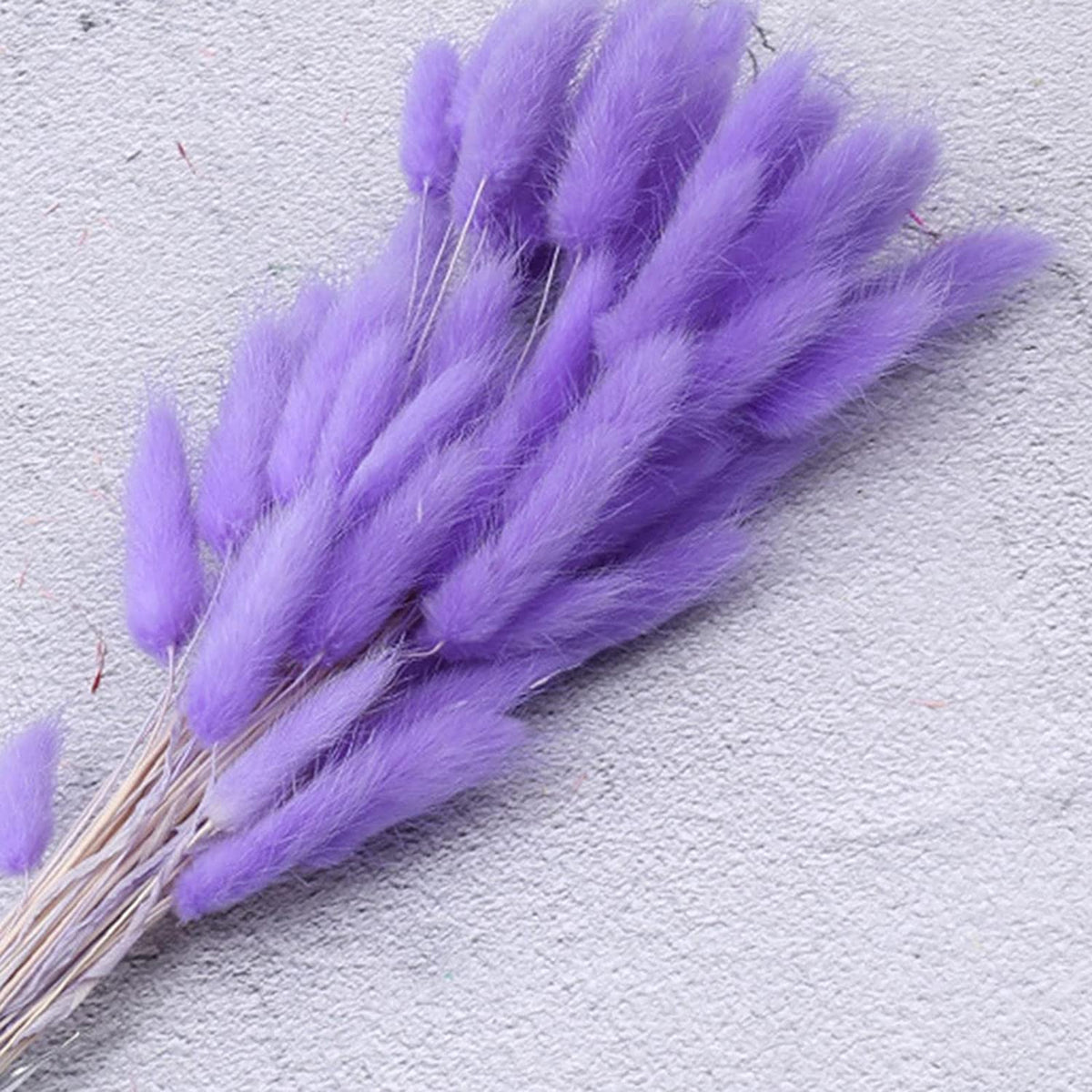 Dried Bunny tails Purple 30pcs pack