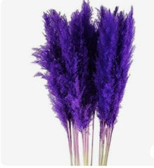 Dried Purple Pampas Set Of 10 Sticks