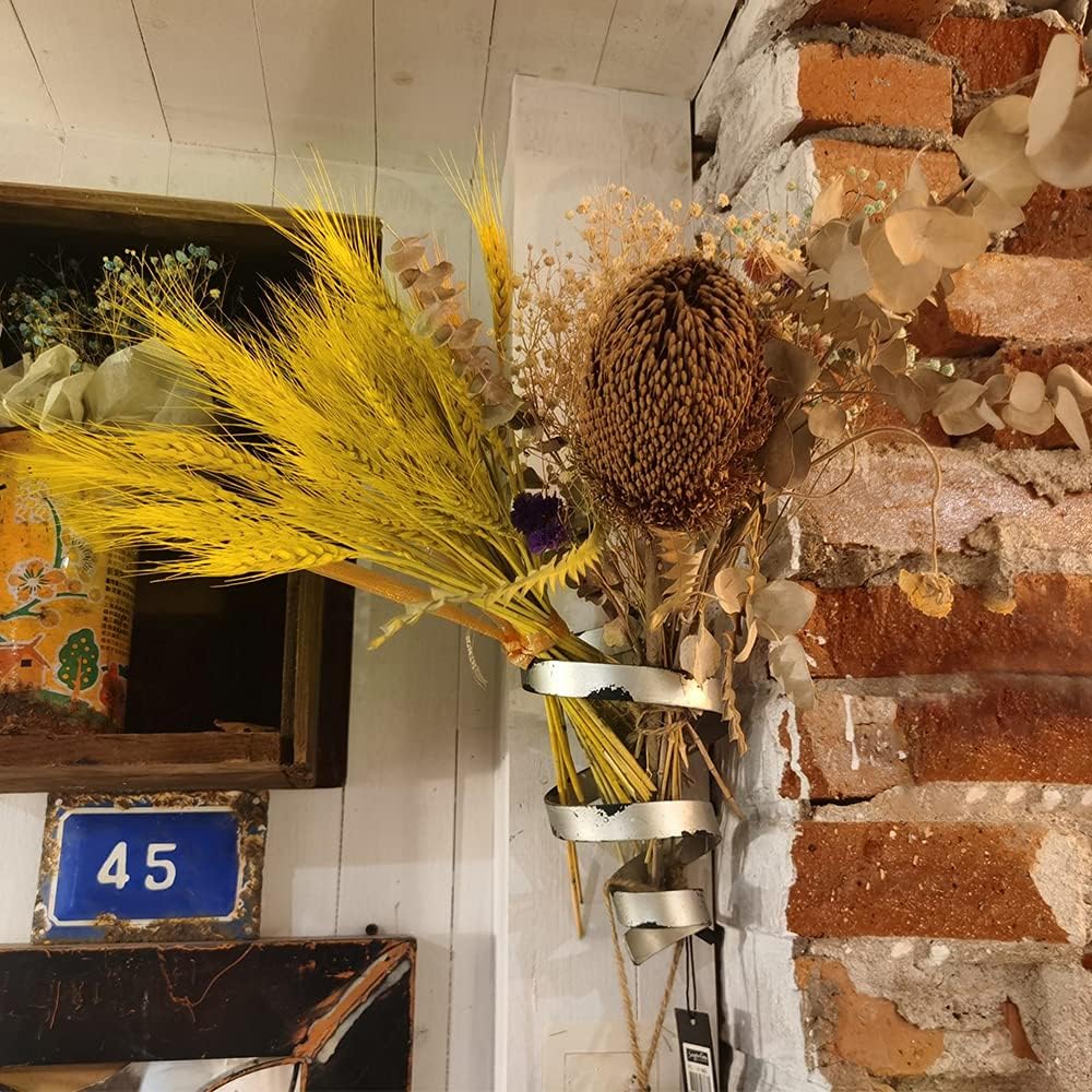 Dried Wheat Grass Natural Bunch 25 Stems Yellow color