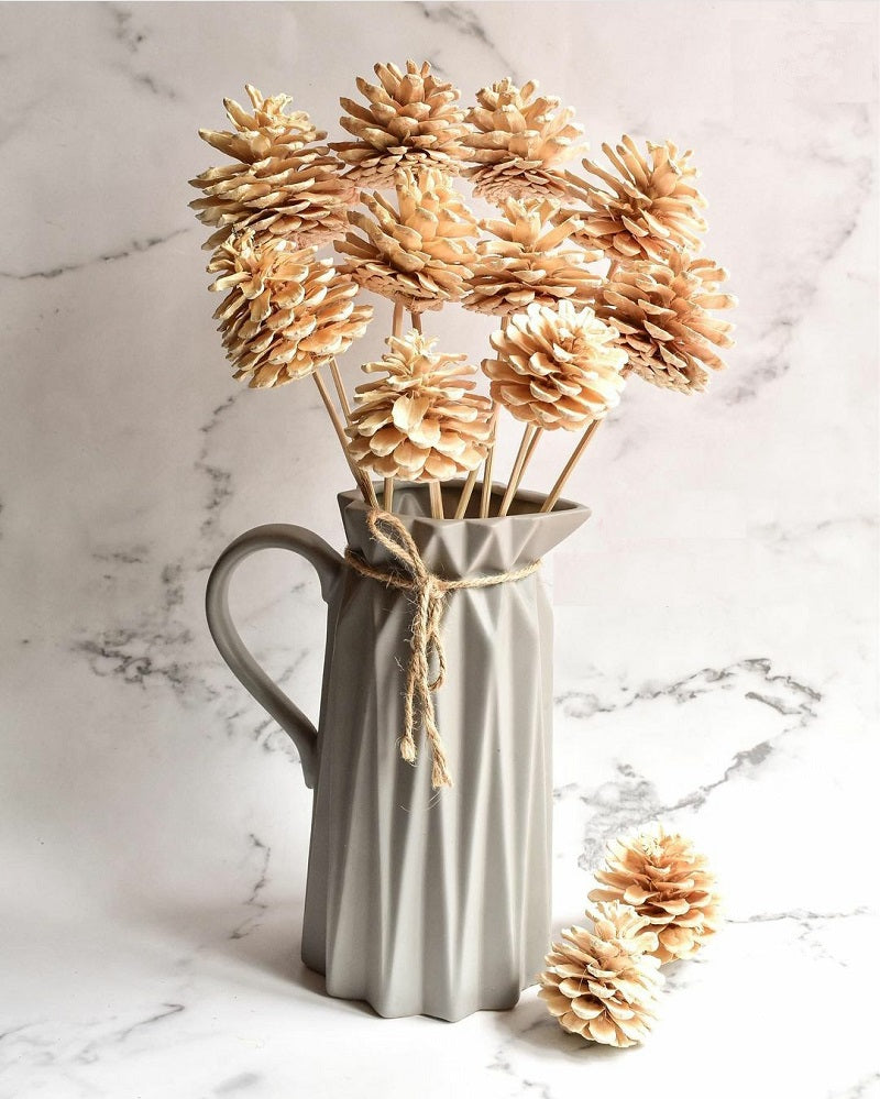 Dried Pine Cones 8 stems white color