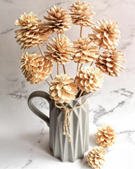 Dried Pine Cones 8 stems white color