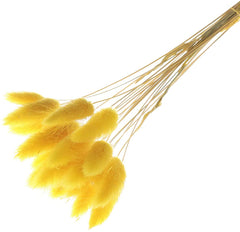 Dried Bunny tails Yellow 30pcs pack